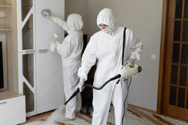 Attic Mold Removal in Evans City, PA