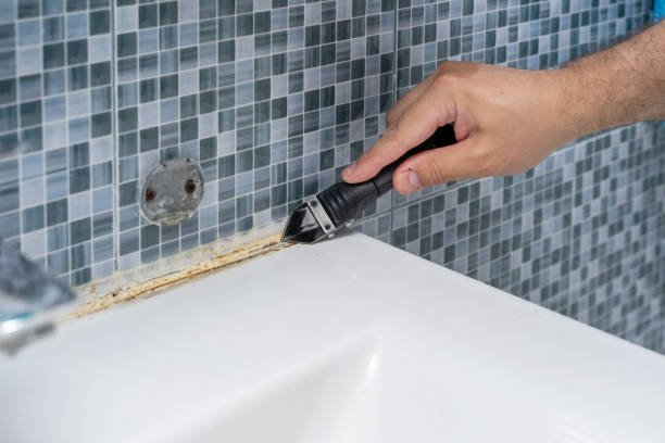  Evans City, PA Mold Removal Pros