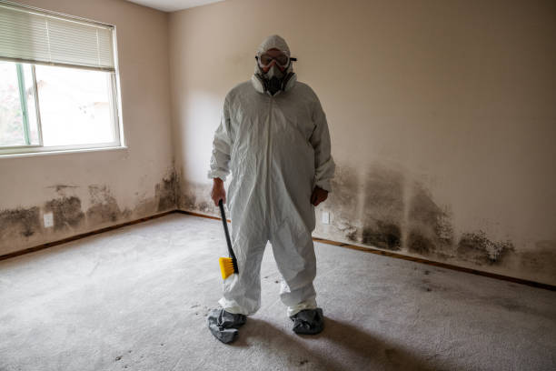 Best Best Mold Removal Companies  in Evans City, PA